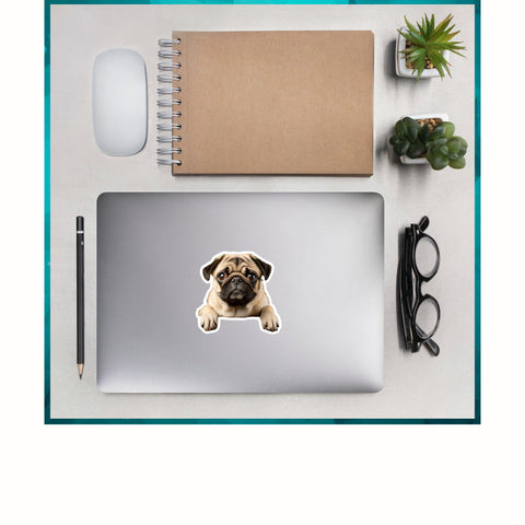 Petpaws Stickers