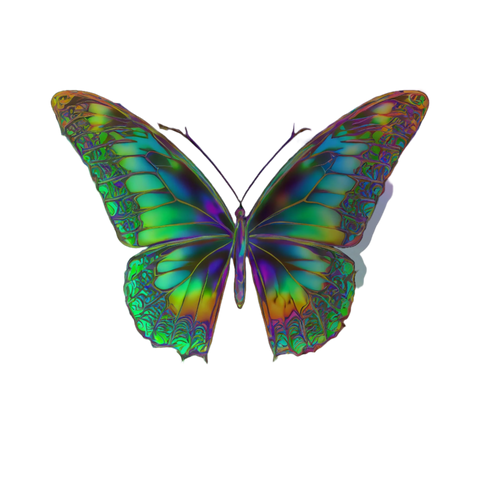 Butterfly Holographic stickers