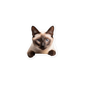 Petpaws Siamese cat Bubble-free stickers