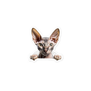 Petpaws Sphynx cat Bubble-free stickers