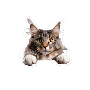 Petpaws Maine cat Bubble-free stickers