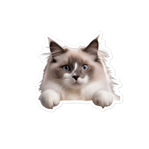 Petpaws Rag Doll cat Bubble-free stickers