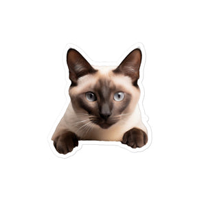 Petpaws Siamese cat Bubble-free stickers