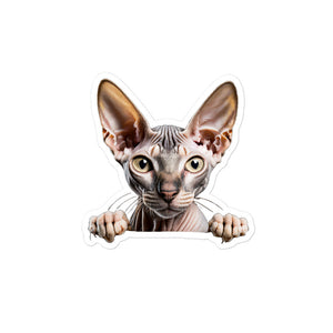 Petpaws Sphynx cat Bubble-free stickers