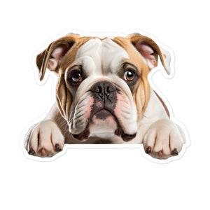 Petpaws Bulldog Bubble-free stickers