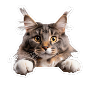 Petpaws Maine cat Bubble-free stickers