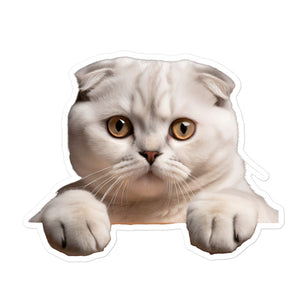Petpaws White Scottish Fold cat Bubble-free stickers