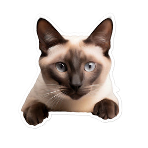 Petpaws Siamese cat Bubble-free stickers