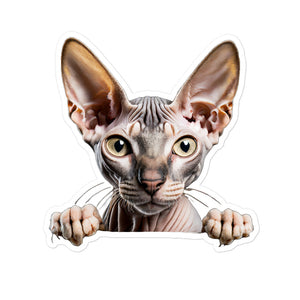 Petpaws Sphynx cat Bubble-free stickers