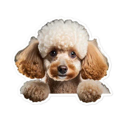 Petpaws Poodle dog Bubble-free stickers