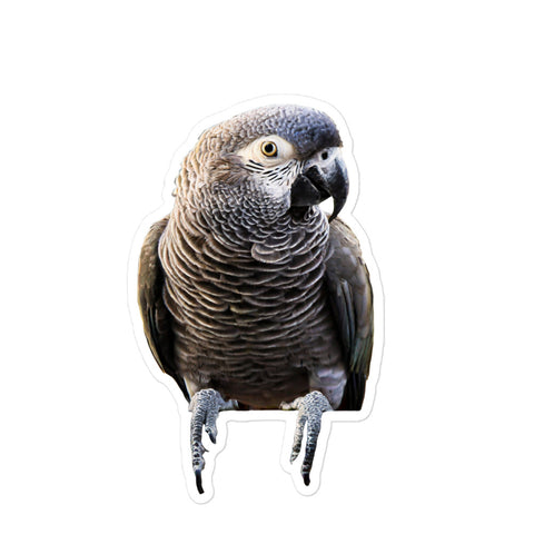 Petpaws Black Grey parrot Bubble-free stickers