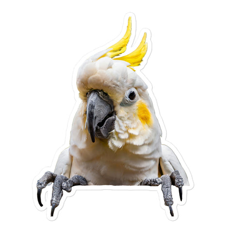 Petpaws Cockatoo bird Bubble-free stickers