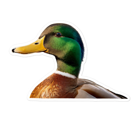 Petpaws Swimming Duck Bubble-free stickers