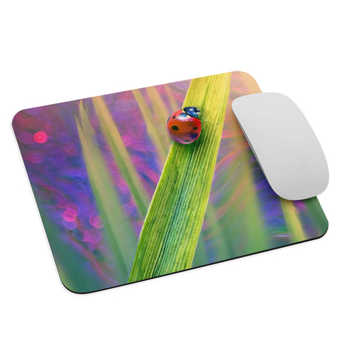 Ladybug Mouse pad
